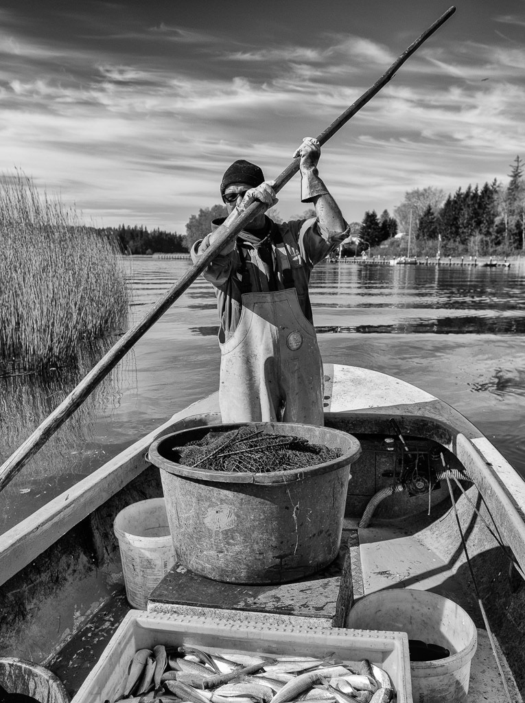fischer-2020-078 | Matthias Nanz aus Schleswig ist einer der letzten Berufsfischer an der Schlei. Hier kehrt er Ende April von einer Fangfahrt auf der Großen Breite der Schlei zurück und bereitet sich auf das Anlegen an seinem Liegeplatz in Missunde vor. - Realisiert mit Pictrs.com