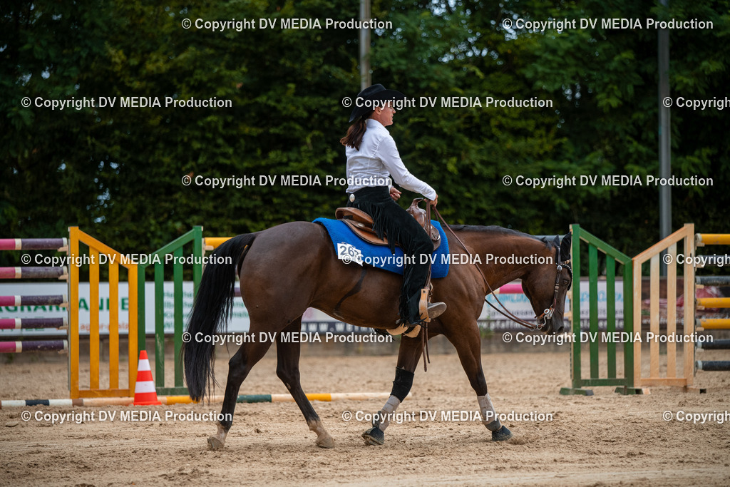 ZS2_8650 | dv-media-shop - Realisiert mit Pictrs.com