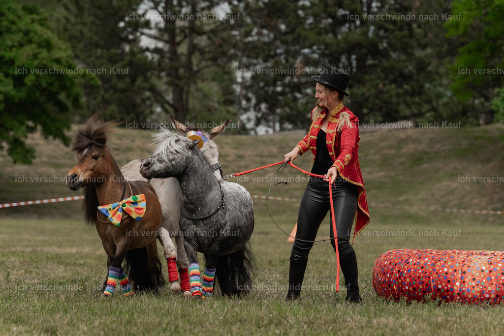 Showprogramm-257 | working equitationturnier fotograf videograf stoibphotography marixx film working equitation deutschland reitsport turnierfotografie eventfotografie equestrian events