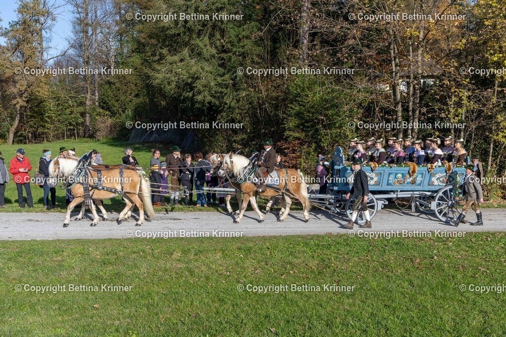 LBT24-844 | foto-bettina-krinner - Realisiert mit Pictrs.com