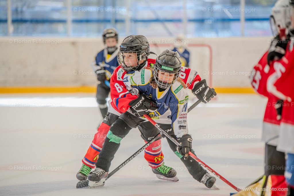 DSC_1161 | "Fussifoto.com – Ihr Ansprechpartner für hochwertige Fotografie! Entdecken Sie kreative Bilder und professionelle Dienstleistungen. Kontaktieren Sie uns für Ihre Projekte!"