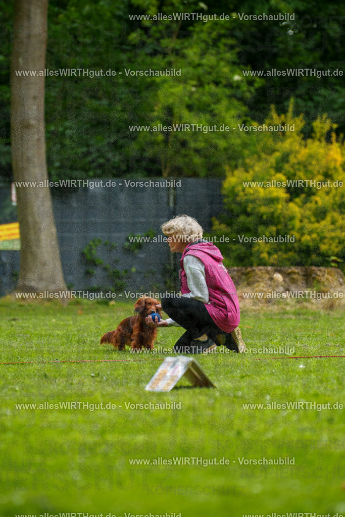 @allesWIRTHgut_Tierfotografie - www.allesWIRTHgut.de - 091105-7R506706 | Professionelle Tierfotografie in Mönchengladbach von Daniel Wirth (allesWIRTHgut). Liebevolle & natürliche Bilder von Hunden & Katzen für unvergessliche Erinnerungen.