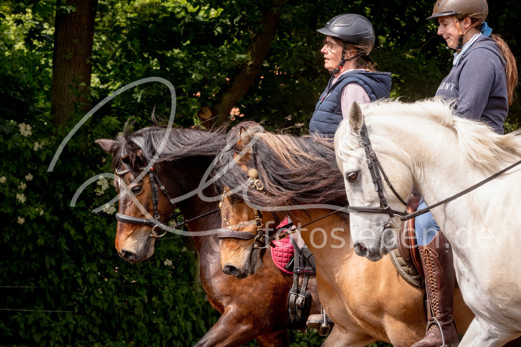 846A1019 | fotosleben - Realisiert mit Pictrs.com