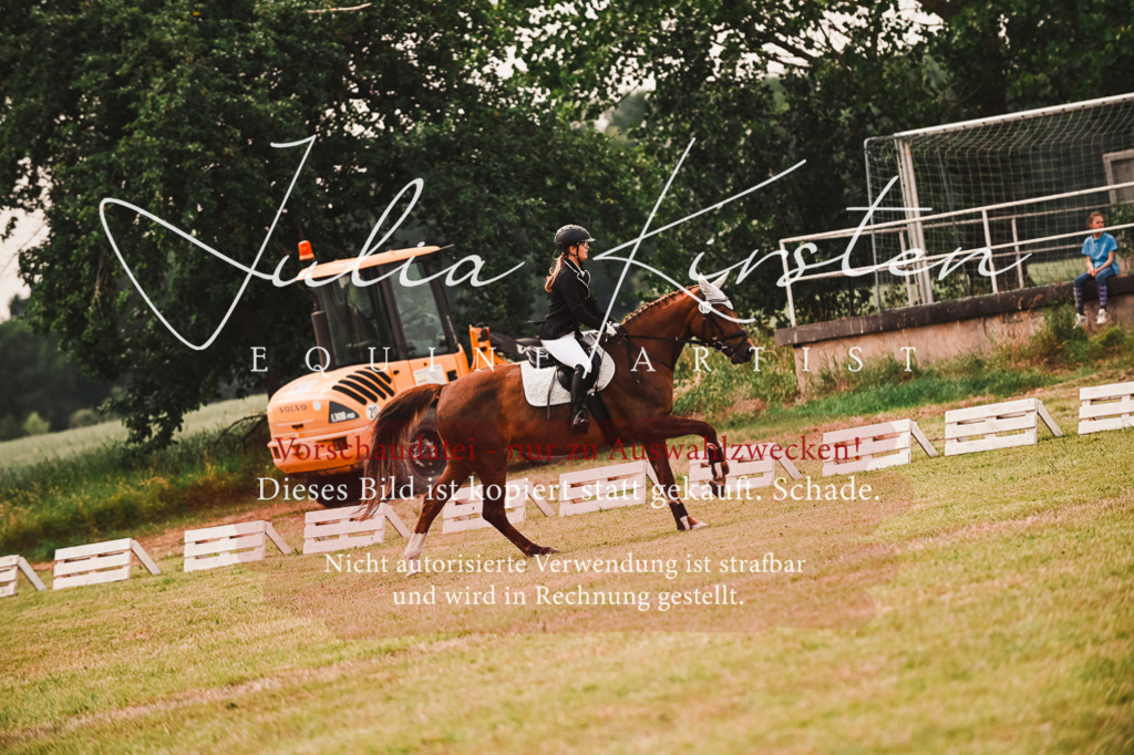 DSC_6871 | Pferde- und Turnierfotografie in Westsachsen. Pferdeportraits, Auftragszeichnungen und intuitive Kunst.