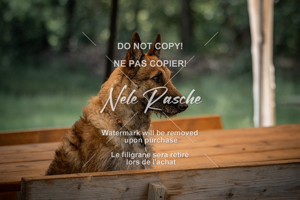 nelerasche_So-abschied_102 | nelerasche