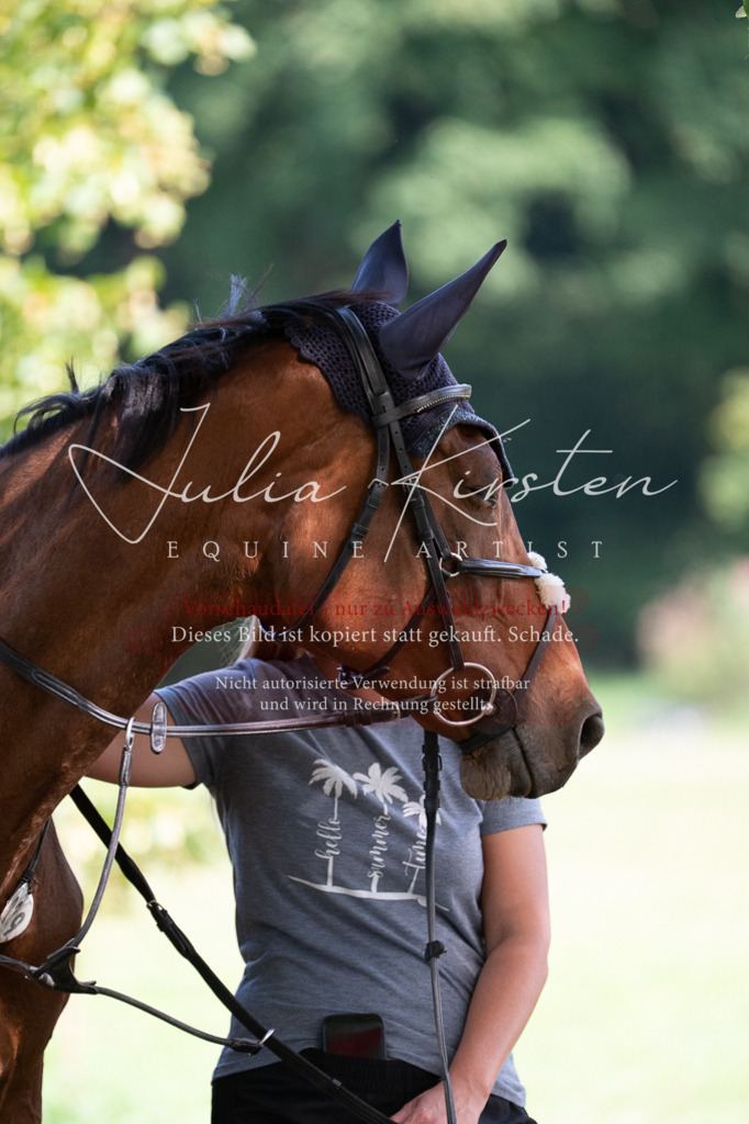 DSC_0935 | Pferde- und Turnierfotografie in Westsachsen. Pferdeportraits, Auftragszeichnungen und intuitive Kunst.