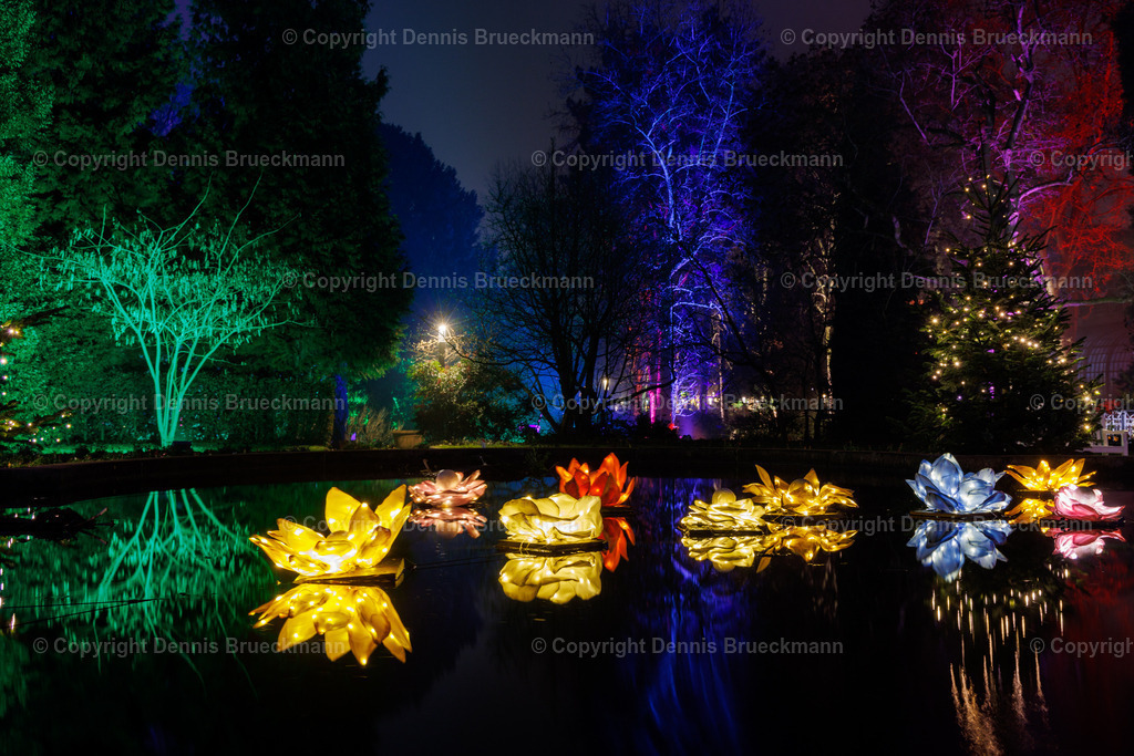 Winterlichter 2023/24 | Dennis-Brueckmann-Fotografie - Realisiert mit Pictrs.com