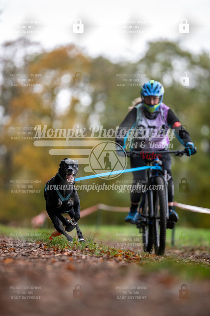 DBT_DAKM_SA_4_11_2023_Bike-86 | PayLife