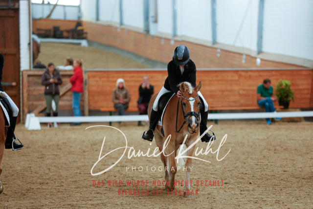 _62_5826 | Turniersportfotografie; Pferdefotografie; Dressurfotografie