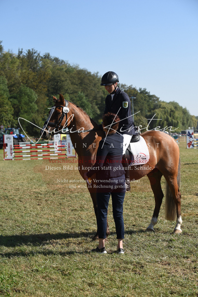 DSC_5432 | Pferde- und Turnierfotografie in Westsachsen. Pferdeportraits, Auftragszeichnungen und intuitive Kunst.