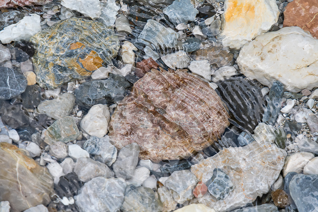 oe_2021_07_0726 | Garnitzenbach - Realisiert mit Pictrs.com