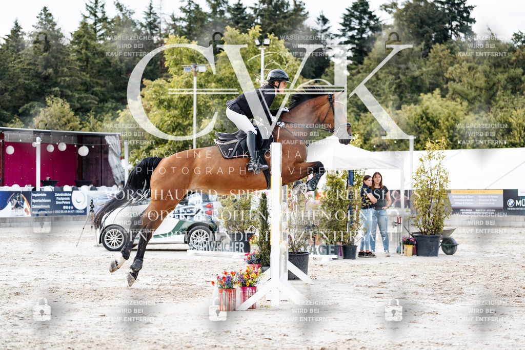 CK903912 | Turnierfotografie Pferdefotografie Trier Rheinland-Pfalz Pferdesport Reitsport Tierfotografie Sportfotografie Pferdevideo Pferdevideografie Equestrianvideography equestrianphotography  - Realisiert mit Pictrs.com
