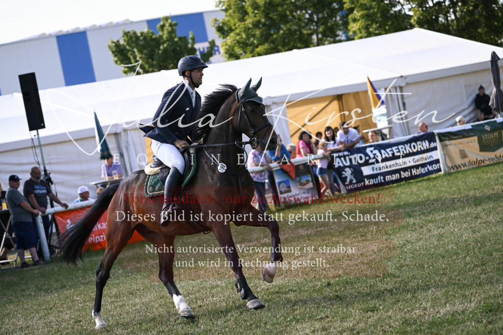 DSC_1401 | Pferde- und Turnierfotografie in Westsachsen. Pferdeportraits, Auftragszeichnungen und intuitive Kunst.