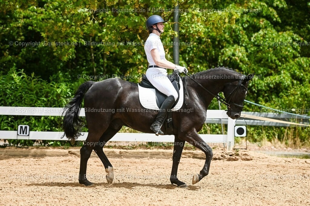 20230715_05_Dressurprüfung Kl.A++_0264 | equistock