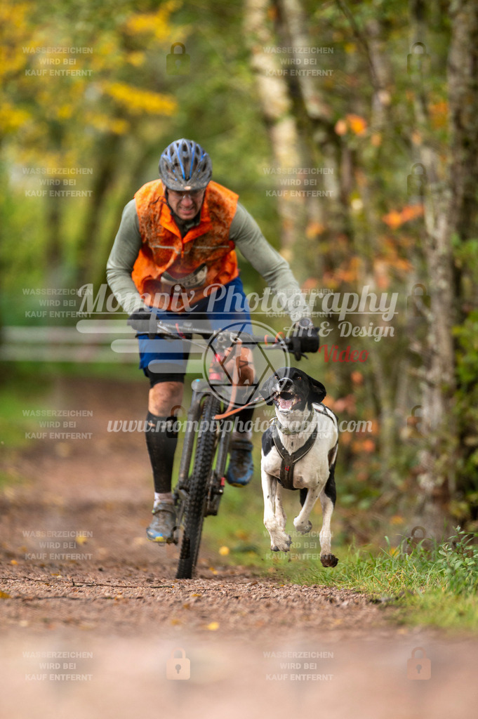 TSB_2023_E4_Bike-18 | PayLife