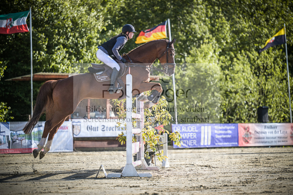 DOS_0301 | Entdecke hochwertige Reitturnierfotos von Foto Oger. Professionell, emotional und authentisch – jetzt Lieblingsmomente im Shop bestellen.Deutschlandweite Turnierfotografie. - Realisiert mit Pictrs.com