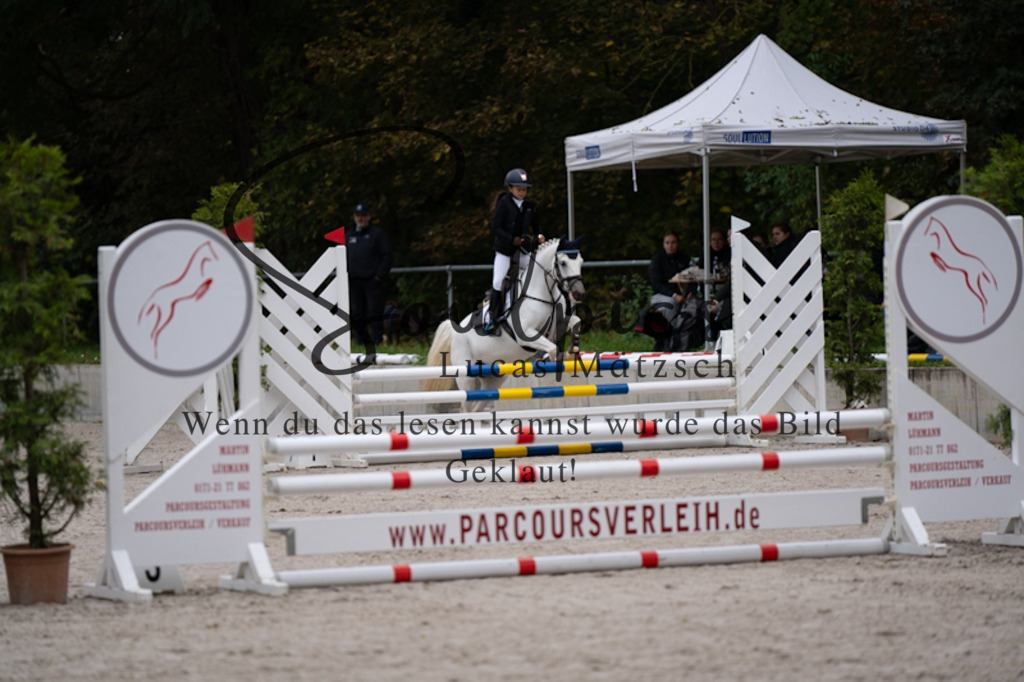 A7V09673 | Pferdefotograf