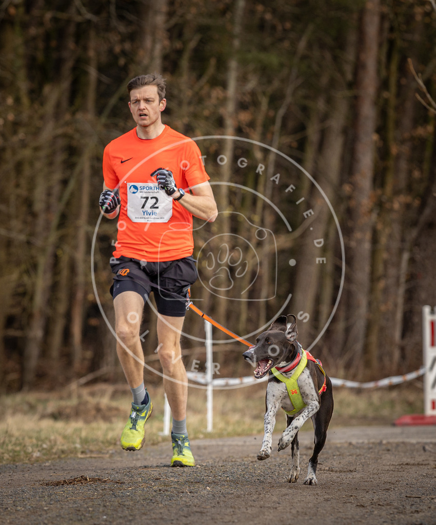 DV3A3646 | Hundefotografie, Tierfotograf, Pfotenfotografie, Fotoshooting Hund, Hunde Portrait, Hundesport, Hundeportraits, Heideshooting, Hunde, Sportfotograf, Hundefotograf, Turnierhundsport, THS,  - Realisiert mit Pictrs.com