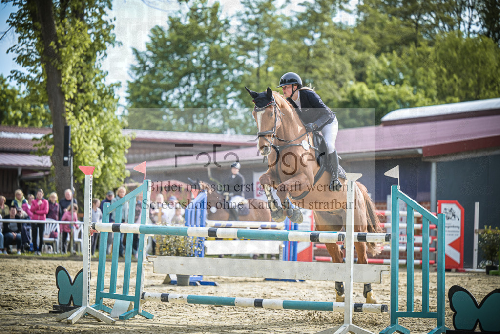 DOS_2735 | Entdecke hochwertige Reitturnierfotos von Foto Oger. Professionell, emotional und authentisch – jetzt Lieblingsmomente im Shop bestellen.Deutschlandweite Turnierfotografie. - Realisiert mit Pictrs.com