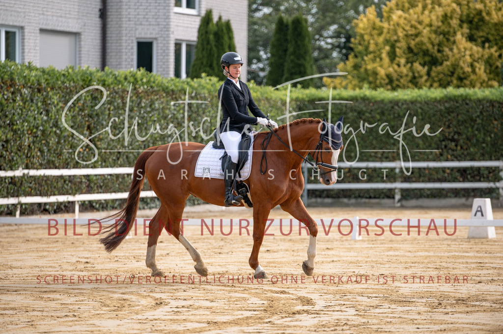 Schugtsche-Aluta25-40.DressurprfA_-25 | Schugtsche Fotografie - Realisiert mit Pictrs.com