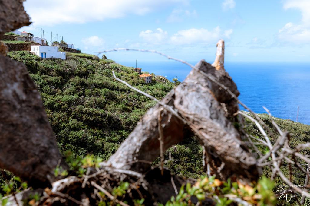 20250321-150124 LA PALMA_160-1 | Herzlich willkommen auf meiner Seite! Ich bin Elke Wallnisch, Deine Fotografin für lichtstarke Momente. Der Name steht für alles, was mich mit der Fotografie verbindet: Das Licht und seine machtvolle Wirkung auf eine Situation oder unsere Stimmung - Realisiert mit Pictrs.com