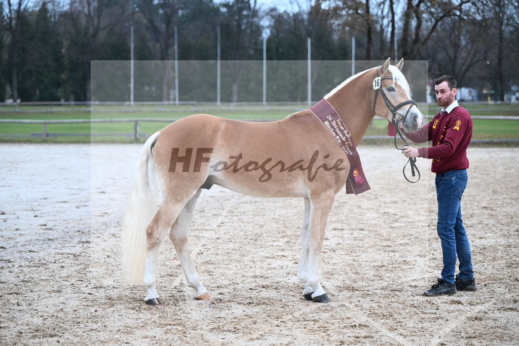 Kat-Nr. 16 nn v. Neustart_Obermeyer_48251851 | hf-fotografie - Realisiert mit Pictrs.com