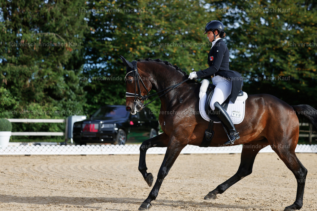 13-110-S___ -StoibPH-6946 | working equitationturnier fotograf videograf stoibphotography marixx film working equitation deutschland reitsport turnierfotografie eventfotografie equestrian events