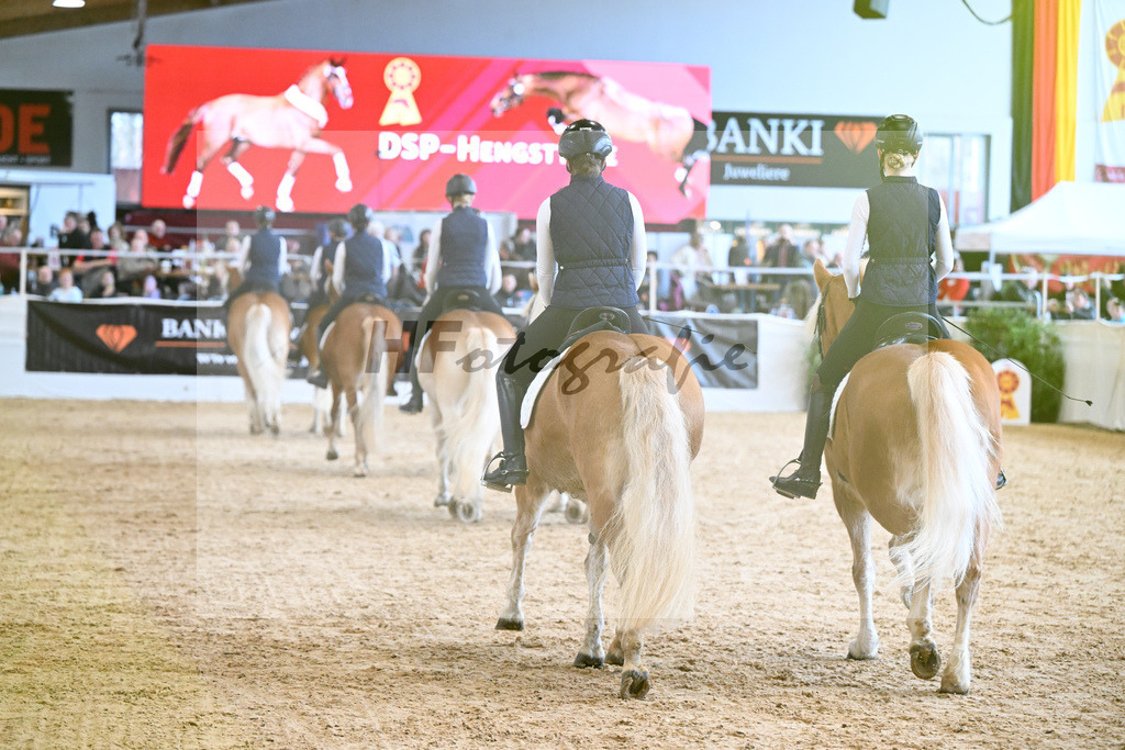 Schauprogramm Haflinger Quadrille_2251502 | hf-fotografie - Realisiert mit Pictrs.com