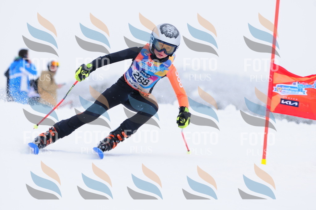 C3032 | holidayphoto