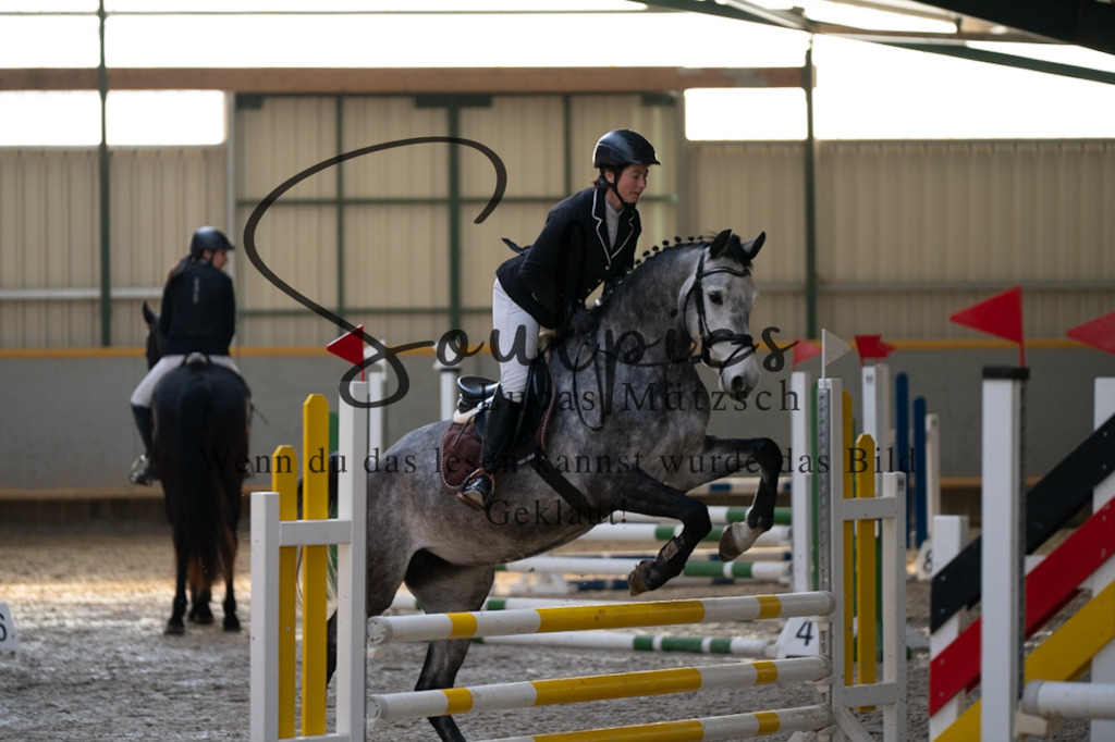 A7V07720 | Pferdefotograf