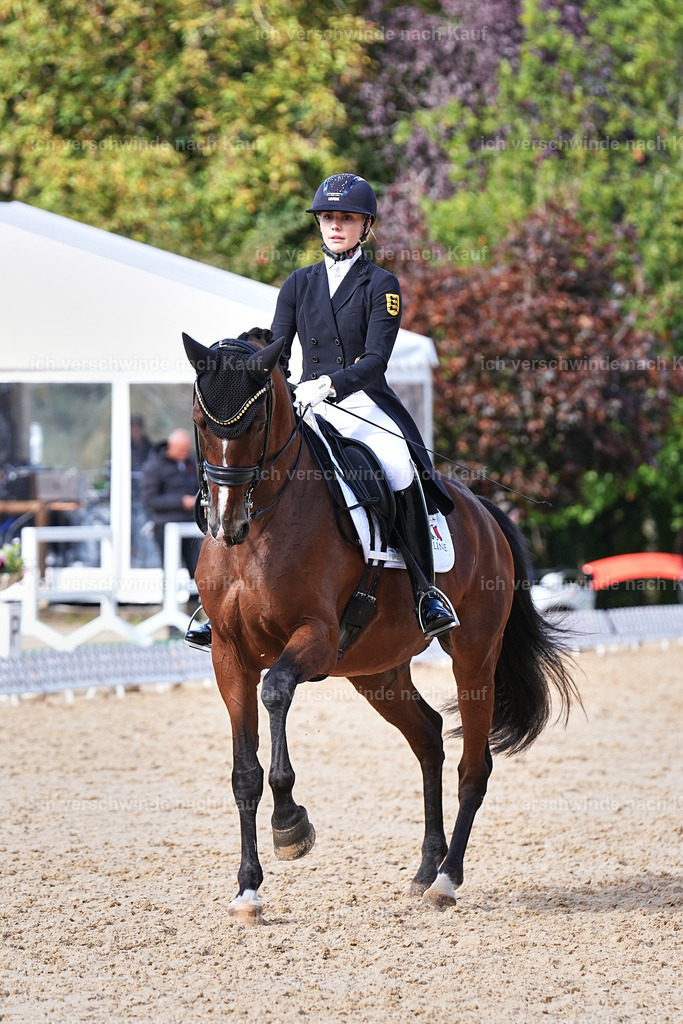 07-003-DRESSUR  S___  -Marixx-5163 | working equitationturnier fotograf videograf stoibphotography marixx film working equitation deutschland reitsport turnierfotografie eventfotografie equestrian events