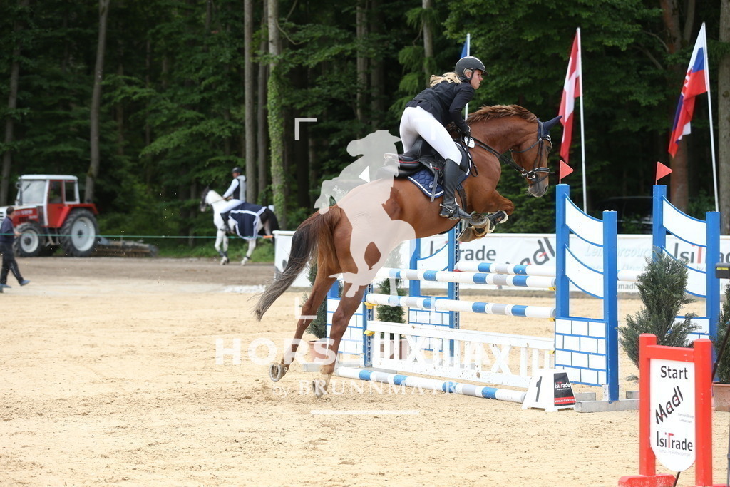 DL2Q1624 | Willkommen bei Brunnmayr - Design & Fotografie – Ihrem Spezialisten für Reitturniere und Pferdeveranstaltungen in Oberösterreich, Salzburg und Bayern! Seit über 17 Jahren sind wir leidenschaftlich dabei.