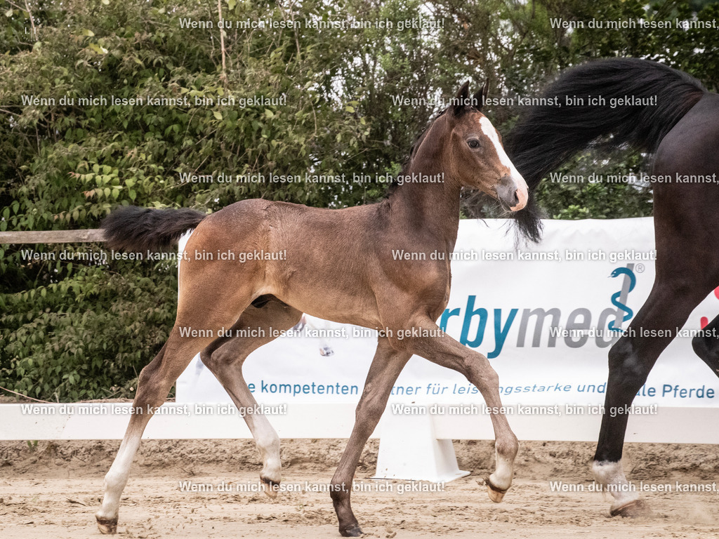 A10I9576 | photographylinaismer - Realisiert mit Pictrs.com