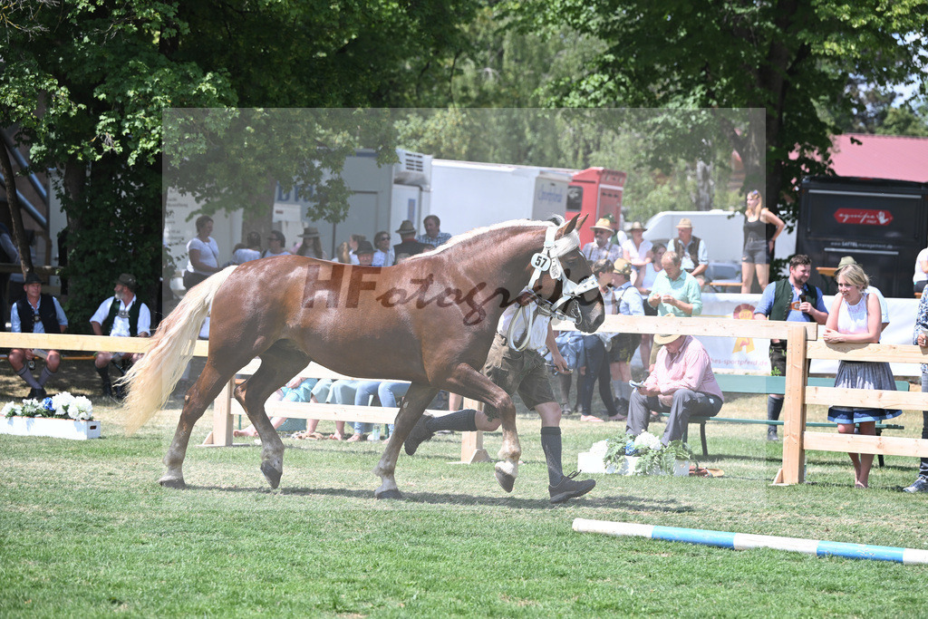 Kat-Nr. 57 Eleonore_Maier_20230912 | hf-fotografie - Realisiert mit Pictrs.com