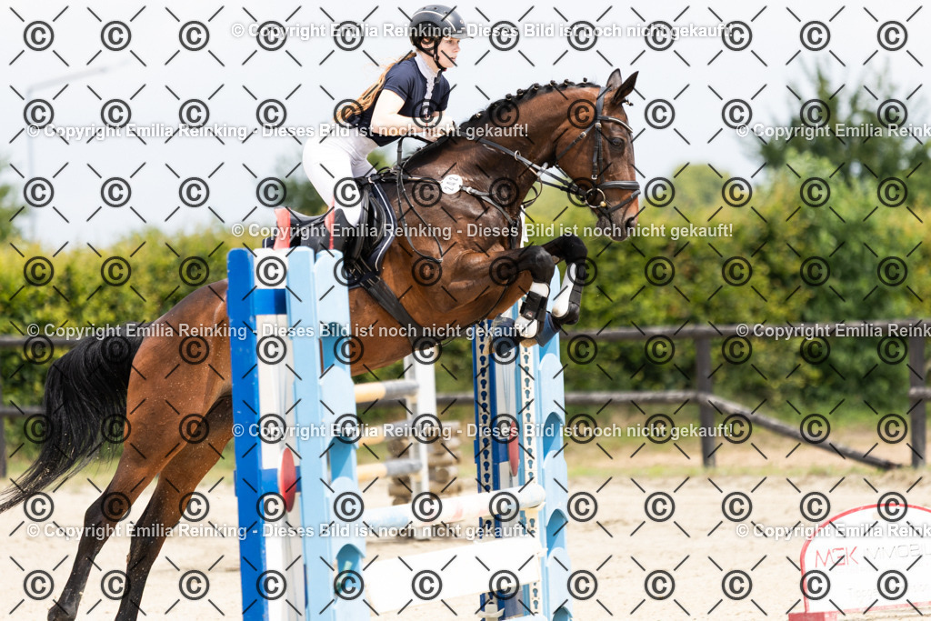 CL5A8995 | Emilia Reinking Fotografie - Realisiert mit Pictrs.com