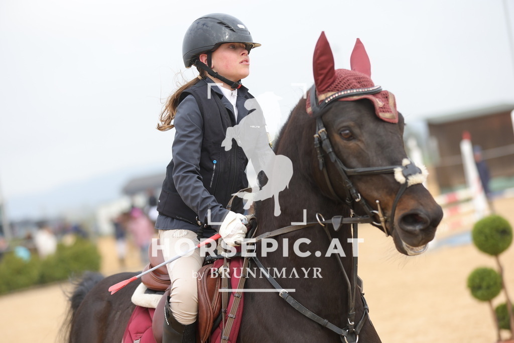 0P6A8684 | Willkommen bei Brunnmayr - Design & Fotografie – Ihrem Spezialisten für Reitturniere und Pferdeveranstaltungen in Oberösterreich, Salzburg und Bayern! Seit über 17 Jahren sind wir leidenschaftlich dabei.