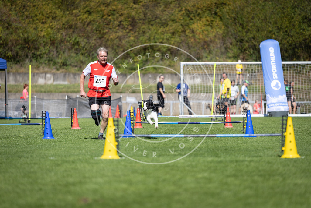 Pfotenfotografie_DV3A6350 | Hundefotografie, Tierfotograf, Pfotenfotografie, Fotoshooting Hund, Hunde Portrait, Hundesport, Hundeportraits, Heideshooting, Hunde, Sportfotograf, Hundefotograf, Turnierhundsport, THS,  - Realisiert mit Pictrs.com