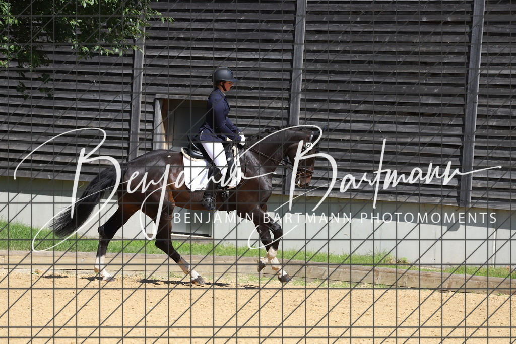 IMG_6515 | Benjamin Bartmann Photomoments