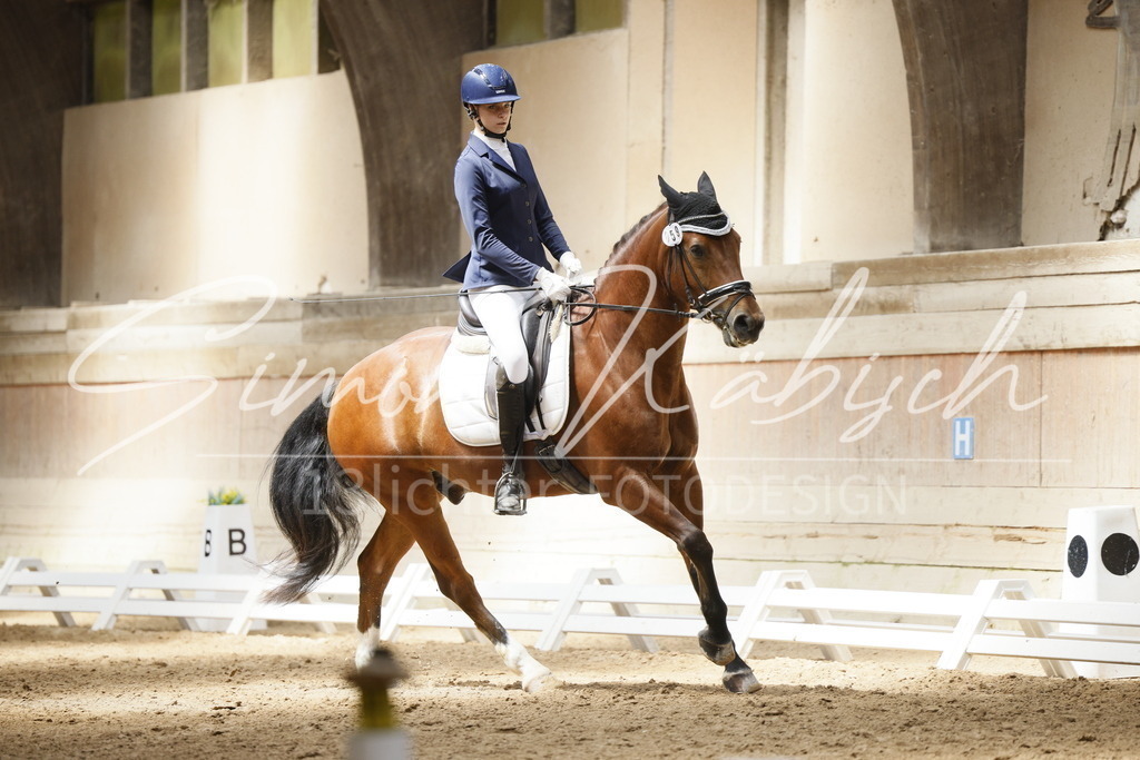 _3LI1312 | Tierfotografie Pferde, Hunde, Katzen, Haustiere.
Turnierfotografie Reitturniere, Reiten, Springreiten, Dressur in Hanau, dem Main-Kinzig-Kreis und dem Rhein-Main- Gebiet um Frankfurt