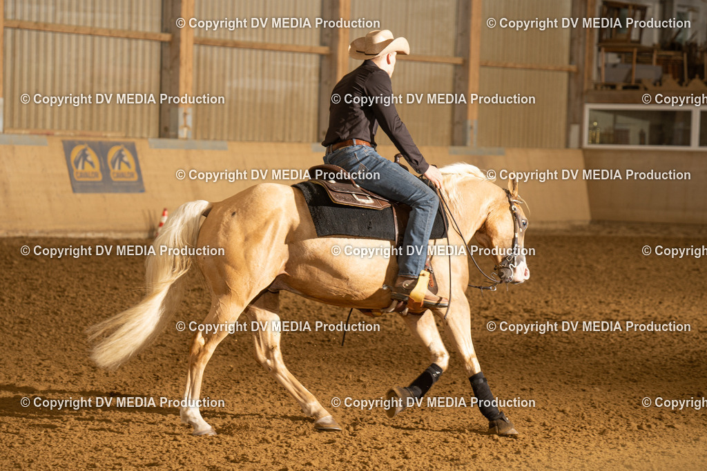 LAU00177 | dv-media-shop - Realisiert mit Pictrs.com