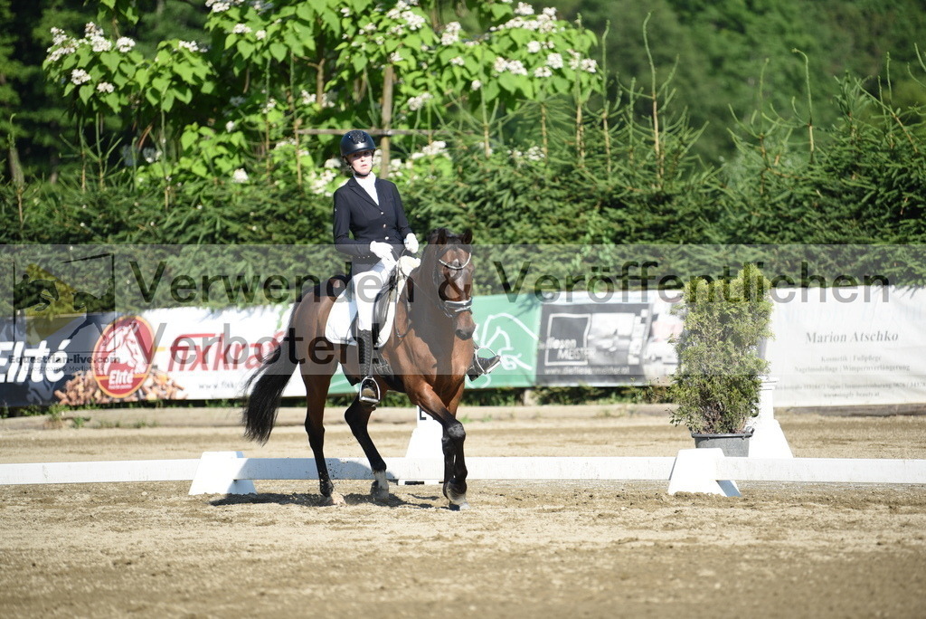DSC_7151 | equestrian-live-com