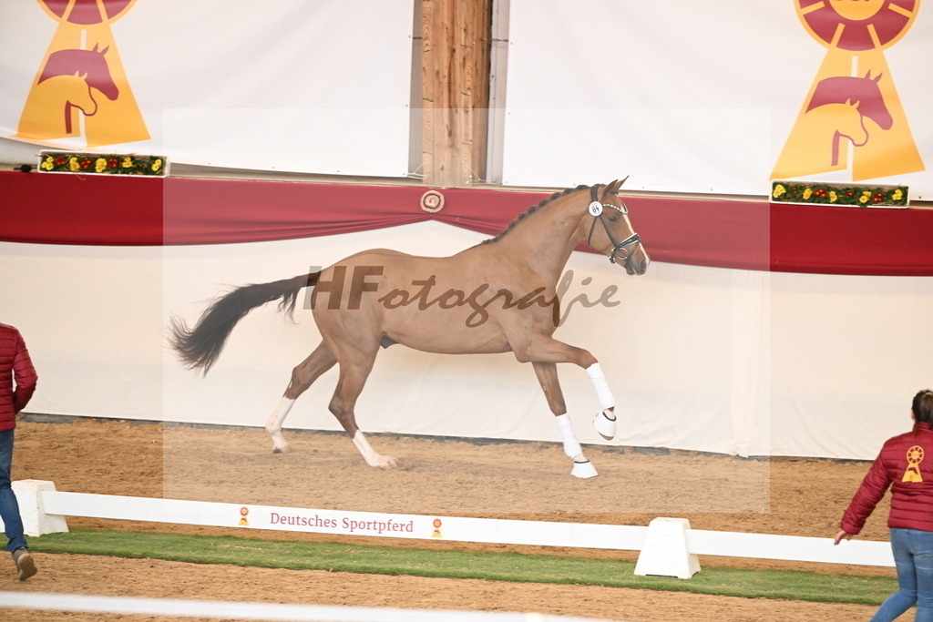 Kat.-Nr. 84 v. Vaderland_van den Oetelaar_2250812 | hf-fotografie - Realisiert mit Pictrs.com