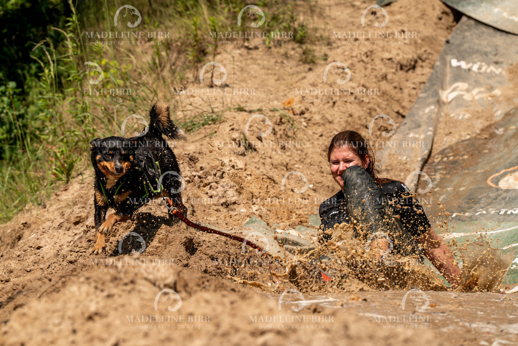 madeleinebirr.fotografie.2026.CC-hoope.samstag.14-28-47.126 | hundefotografie-birr