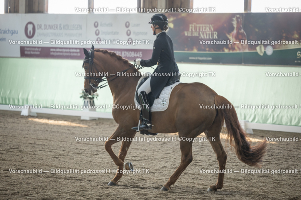 _D5A8080 | Emotionale Pferde- & People-Fotografie rund um Heidelberg, Leimen & Umgebung. Natürliche Fotos von Pferd, Mensch & Familie. Jetzt Termin sichern!