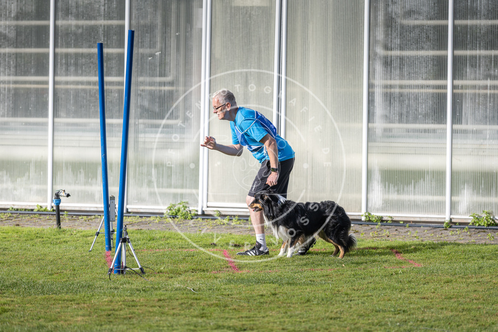 Pfotenfotografie.de_DV3A3289 | Hundefotografie, Tierfotograf, Pfotenfotografie, Fotoshooting Hund, Hunde Portrait, Hundesport, Hundeportraits, Heideshooting, Hunde, Sportfotograf, Hundefotograf, Turnierhundsport, THS, canicross - Realisiert mit Pictrs.com