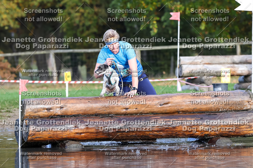 Dog Paparazzi - Strongdog 10-25-8299 | Dog Paparazzi Jeanette Grottendiek Fotografie & Videografie - Realisiert mit Pictrs.com