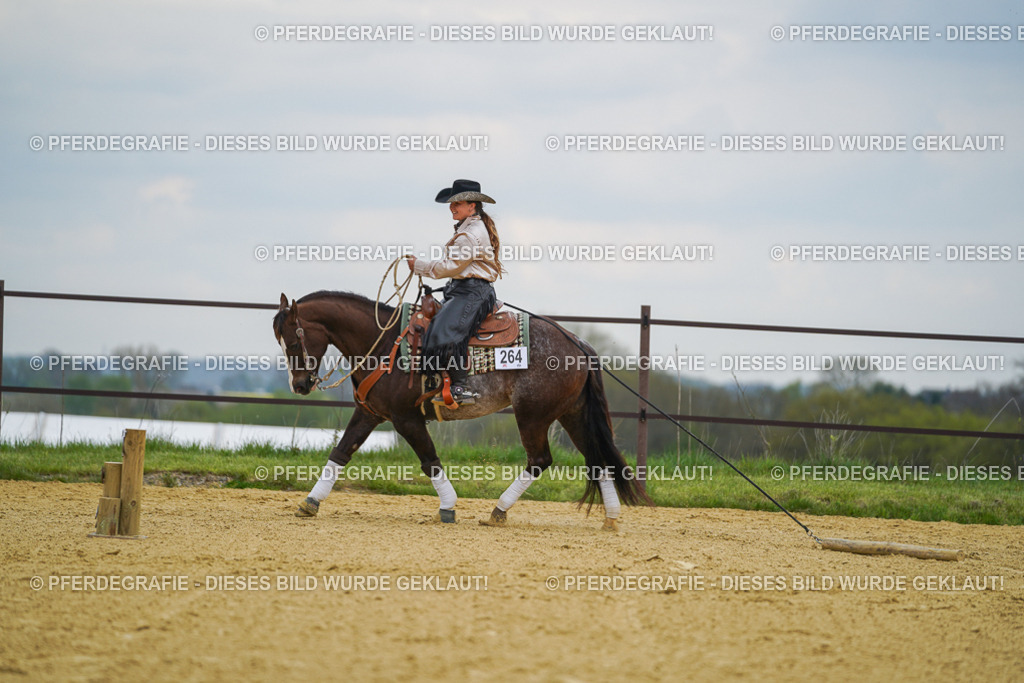 DSC07406 | Pferdegrafie