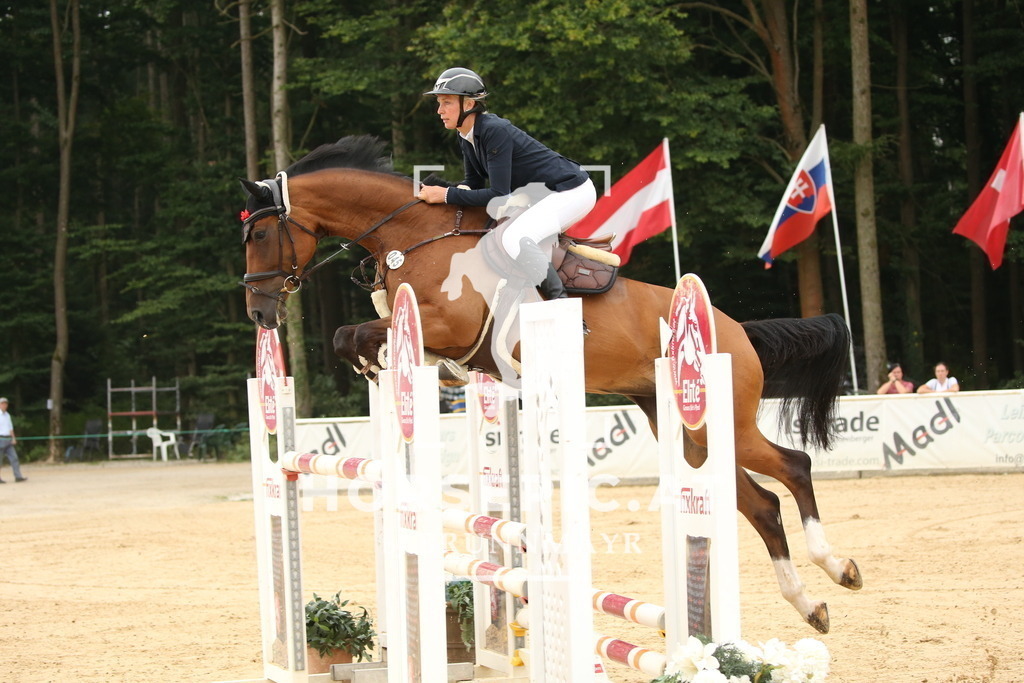 DL2Q6922 | Willkommen bei Brunnmayr - Design & Fotografie – Ihrem Spezialisten für Reitturniere und Pferdeveranstaltungen in Oberösterreich, Salzburg und Bayern! Seit über 17 Jahren sind wir leidenschaftlich dabei.