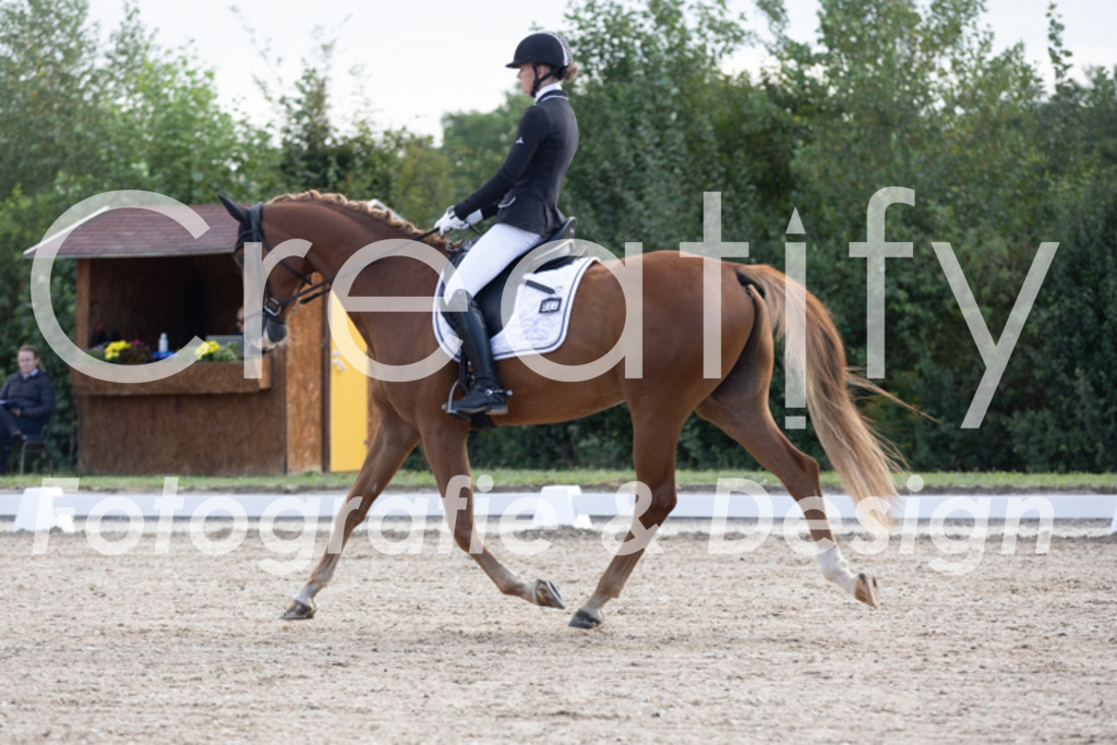 IMG_9841 | Creatify Fotografie