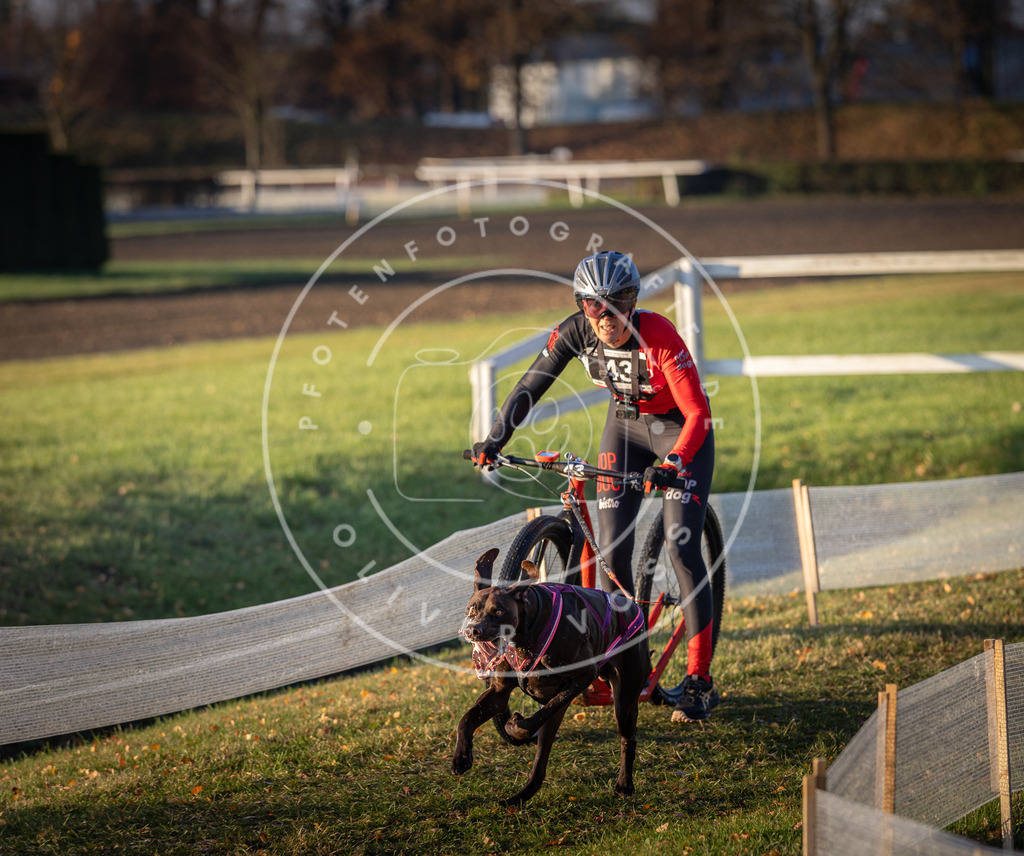 CaniXpix_DV3A0331 | Hundefotografie, Tierfotograf, Pfotenfotografie, Fotoshooting Hund, Hunde Portrait, Hundesport, Hundeportraits, Heideshooting, Hunde, Sportfotograf, Hundefotograf, Turnierhundsport, THS,  - Realisiert mit Pictrs.com